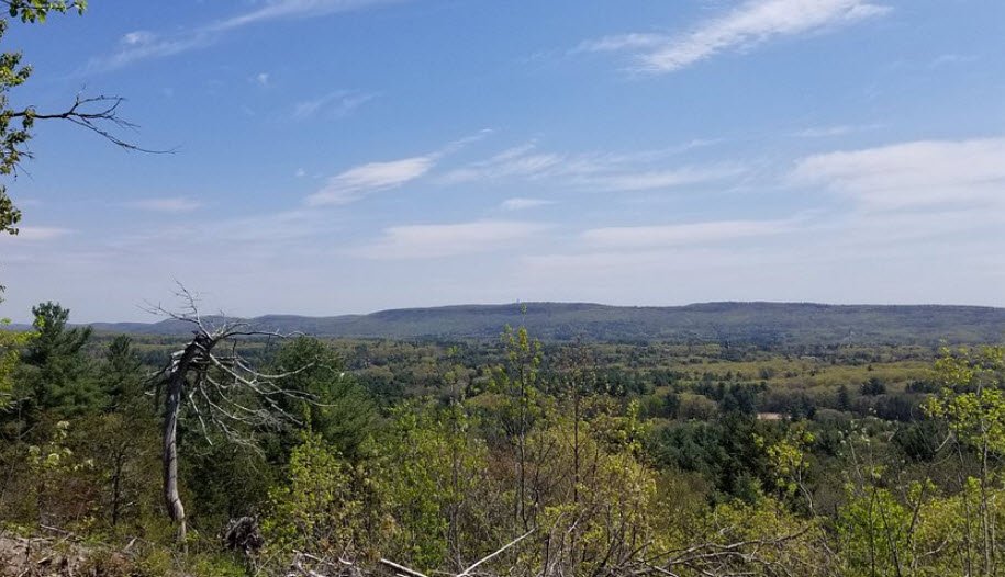 Horse Guard State Park Scenic Reserve, Connecticut, USA